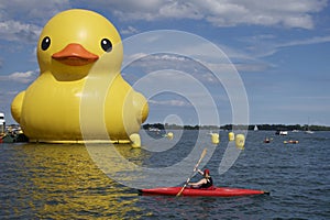 Ã¢â¬ÅRubber DuckÃ¢â¬Â floating placidly in the harbour of Toronto city. Inflatable Yellow Duck displayed in HTO Park in Toronto